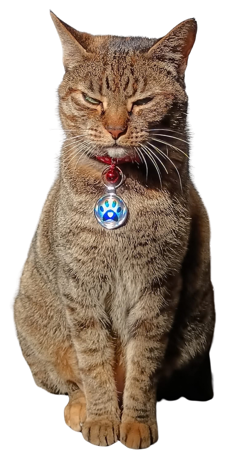 Tiggy