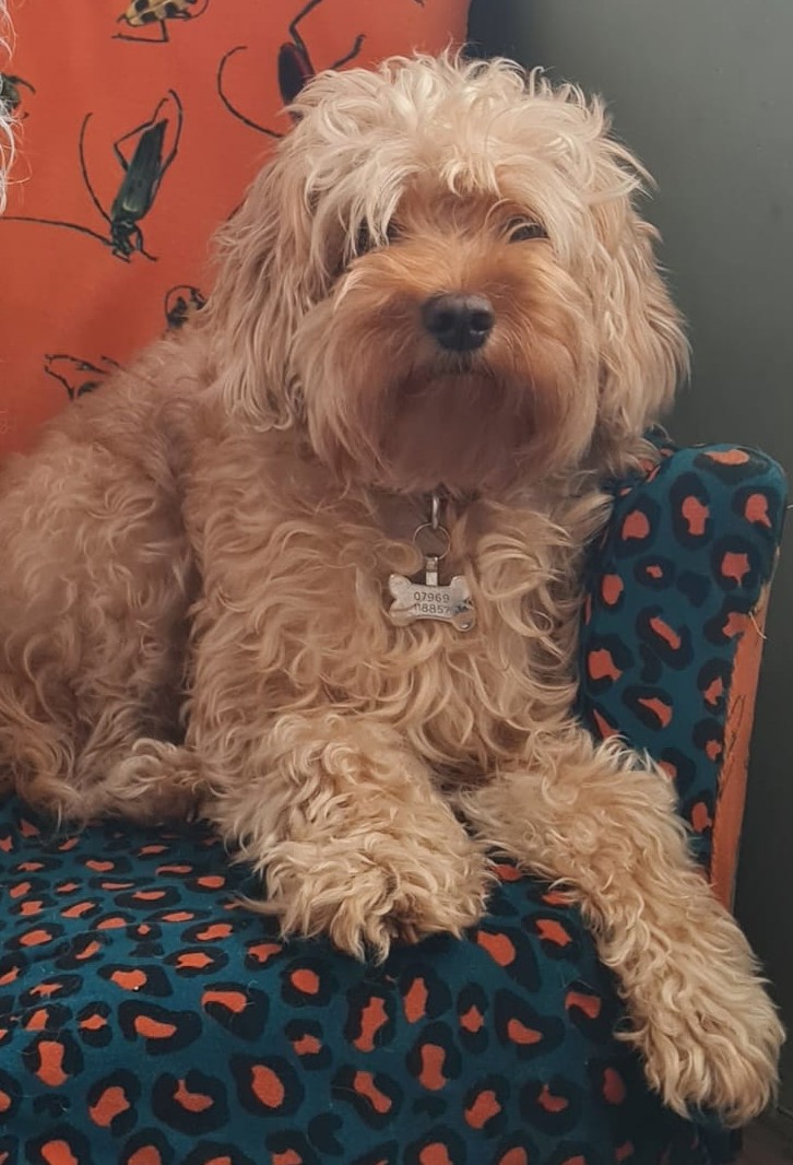 Toffee