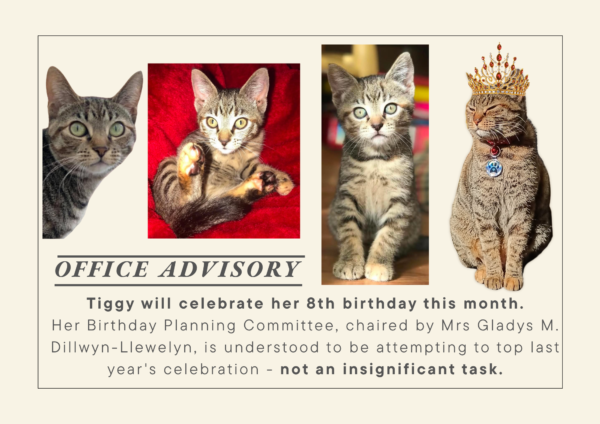 The Office of Tiggy 2027 Calendar