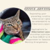 The Office of Tiggy 2027 Calendar