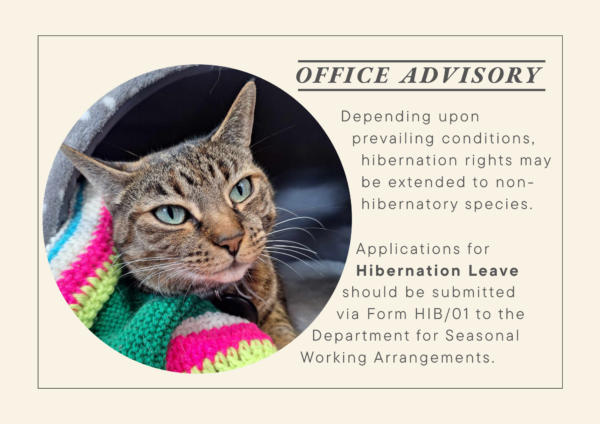 The Office of Tiggy 2027 Calendar