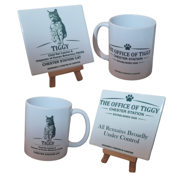 2 mugs 2 coasters The Office of Tiggy Tea Break Bundle - Colour or Green (Free UK Postage)