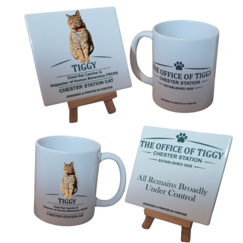 The Office of Tiggy Tea Break Bundle - Colour or Green (Free UK Postage)