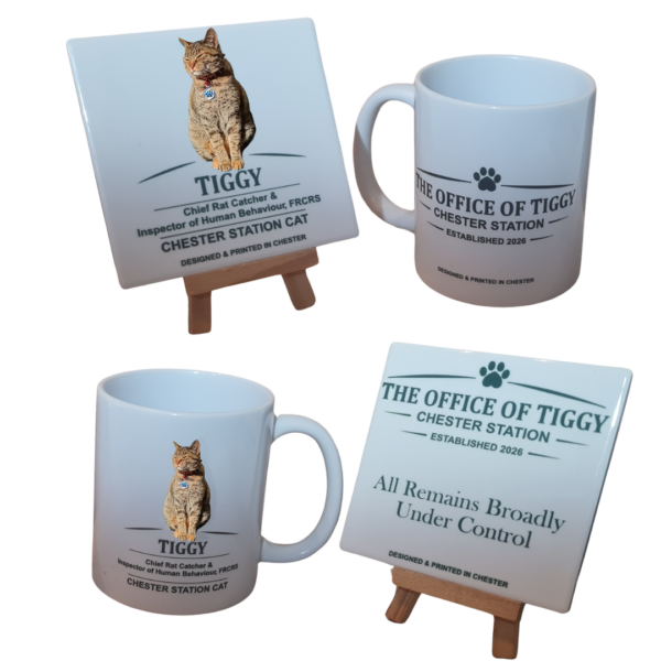 2 mugs 2 coasters-colour1 The Office of Tiggy Tea Break Bundle - Colour or Green (Free UK Postage)