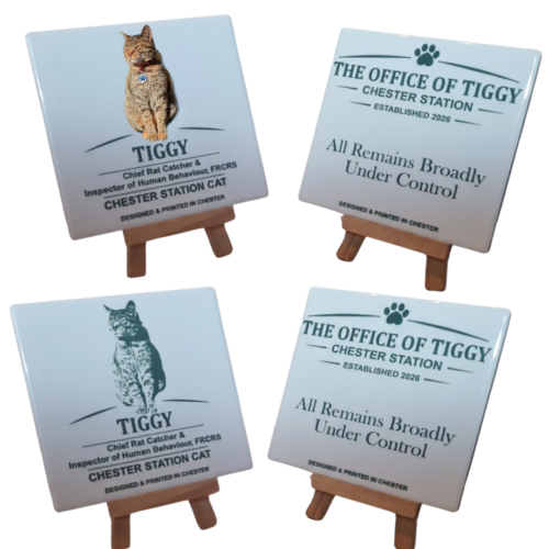 Pick Four Coasters