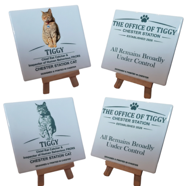 Pick Four Coasters