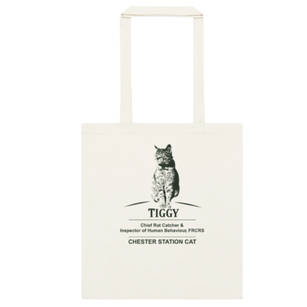 Bag_Mock The Phileas Moss Esq. Mission #1 Travelling Tote (Standard Issue)