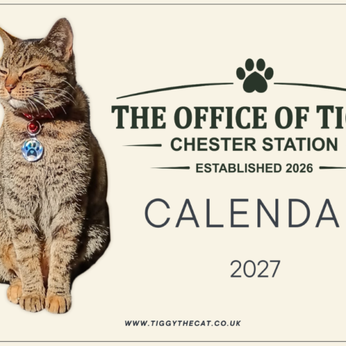The Office of Tiggy 2027 Calendar