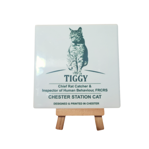 Tiggy Ceramic Coaster (Standard Issue or Colour)