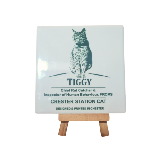 Coaster Standard Tiggy Ceramic Coaster (Standard Issue)