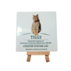 Tiggy Ceramic Coaster (Standard Issue or Colour)