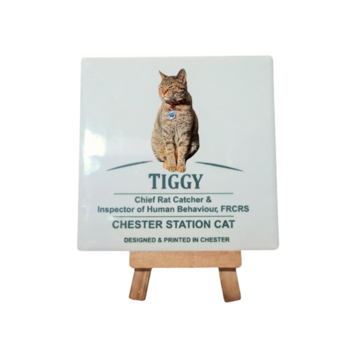 Tiggy Ceramic Coaster (Standard Issue or Colour)