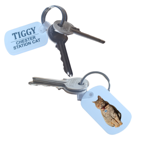 Tiggy Keyring - Standard Issue or Colour