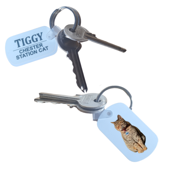 Tiggy Keyring - Standard Issue or Colour