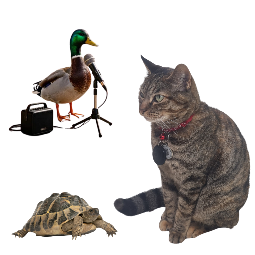 Week 11 - Tiggy prepares for her birthday, workplace tensions rise and the Office continues to expand.