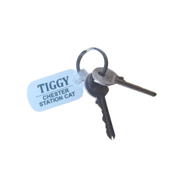 KeyRing_1 Tiggy Keyring (Standard Issue)