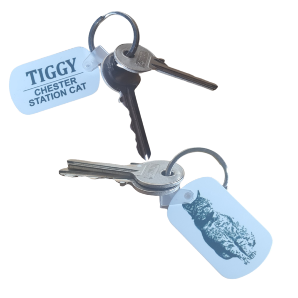Tiggy Keyring - Standard Issue or Colour