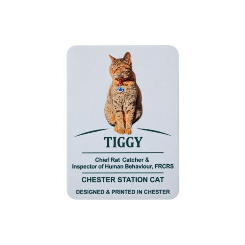 The Official Tiggy Fridge Magnet (Colour)