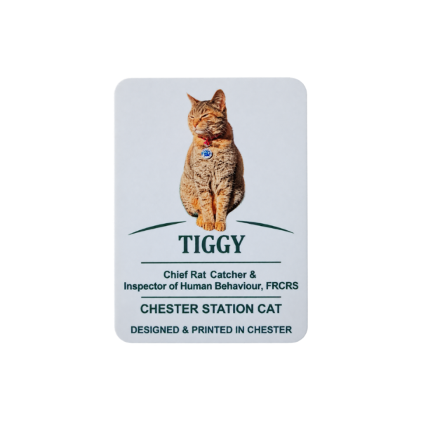 The Official Tiggy Fridge Magnet (Colour)