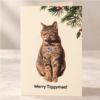Christmas Cards - Pick 4